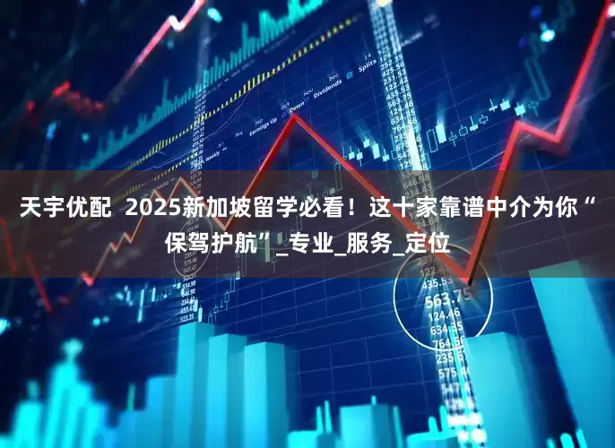 天宇优配  2025新加坡留学必看！这十家靠谱中介为你“保驾护航”_专业_服务_定位