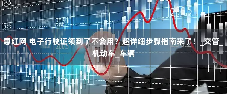 惠红网 电子行驶证领到了不会用？超详细步骤指南来了！_交管_机动车_车辆
