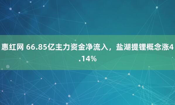 惠红网 66.85亿主力资金净流入，盐湖提锂概念涨4.14%