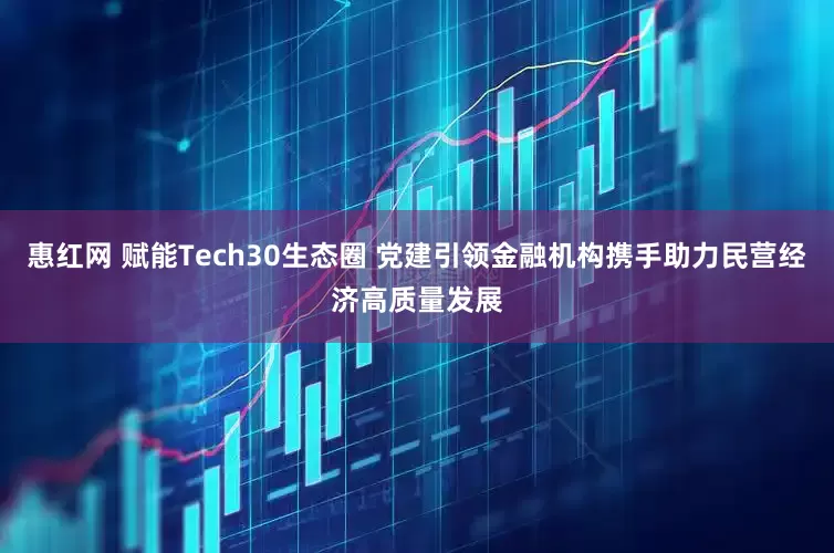惠红网 赋能Tech30生态圈 党建引领金融机构携手助力民营经济高质量发展